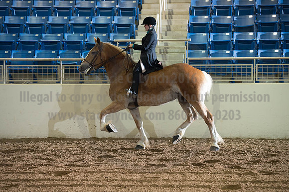 2016 _KILE_10082016_SCL9434