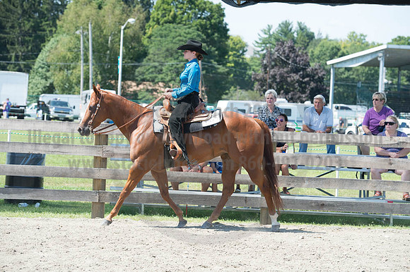 2016DCF_08272016_SCL_1308