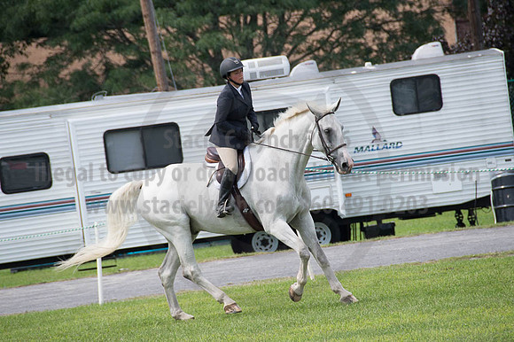 2016DCF_08252016_SCL_9819