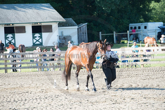 2016DCF_08272016_SCL_0990