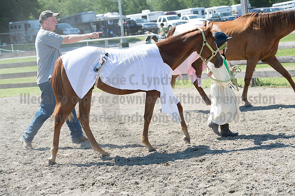2016DCF_08272016_SCL_1246