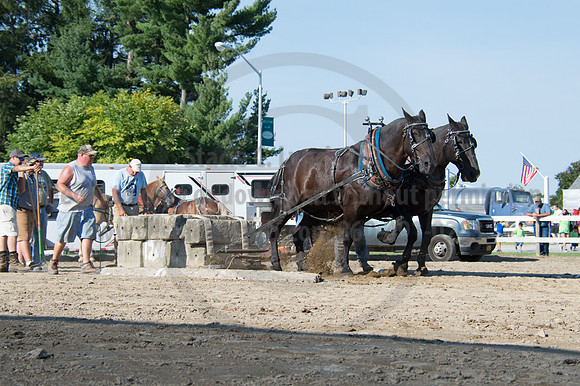 2016DCF_08242016_SCL_9461