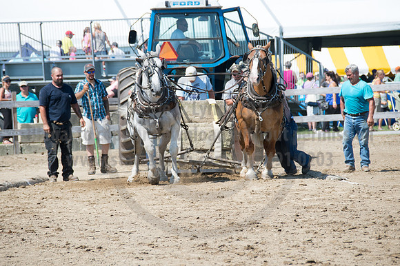 2016DCF_08242016_SCL_9195