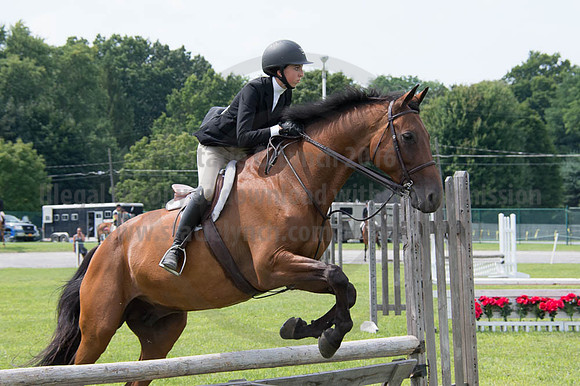 2016DCF_08252016_SCL_9808