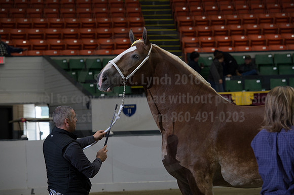 NABC8_10132016_SCL_5318