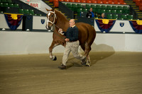 NABC8_10132016_SCL_5028