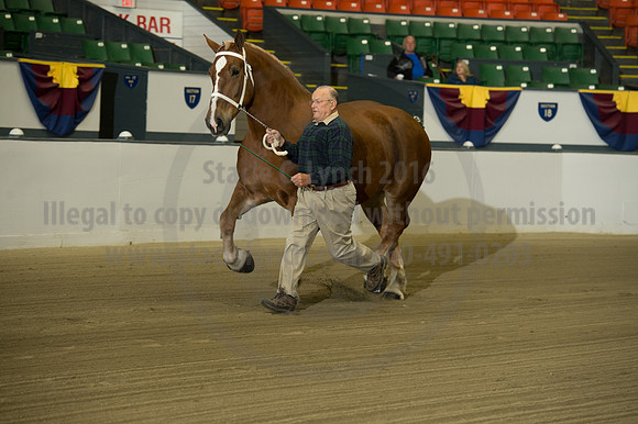 NABC8_10132016_SCL_5028