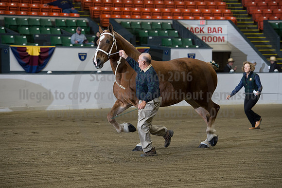 NABC8_10132016_SCL_5042
