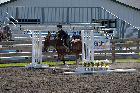 2016DCF_08242016_SCL_8664