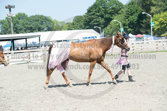 2016DCF_08272016_SCL_1247