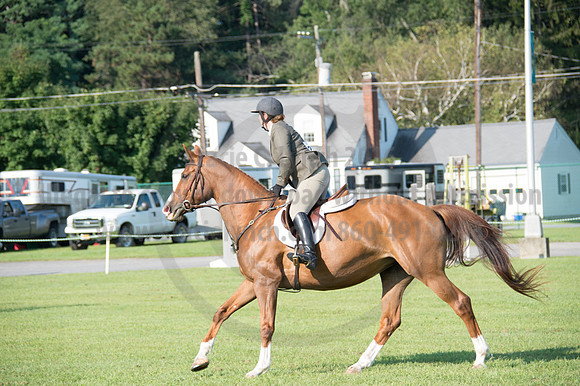 2016DCF_08242016_SCL_8358