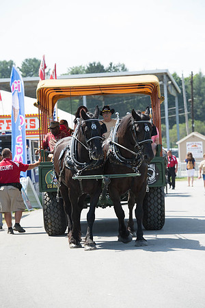 2016DCF_08272016_SCL_1447