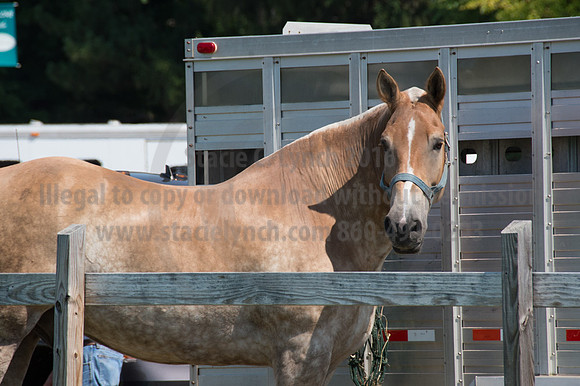 2016DCF_08242016_SCL_8798