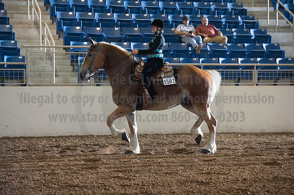 2016 _KILE_10082016_SCL9517