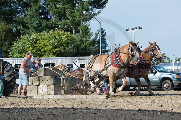 2016DCF_08242016_SCL_9553