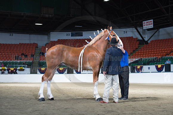 NABC8_10122016_SCL_2875