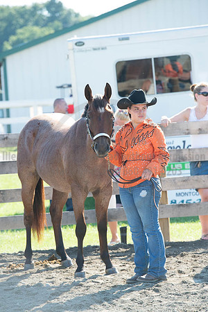 2016DCF_08272016_SCL_1048