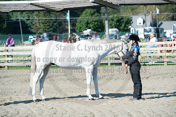 2016DCF_08272016_SCL_1004