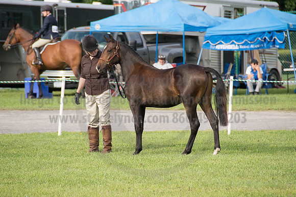 2016DCF_08252016_SCL_9565