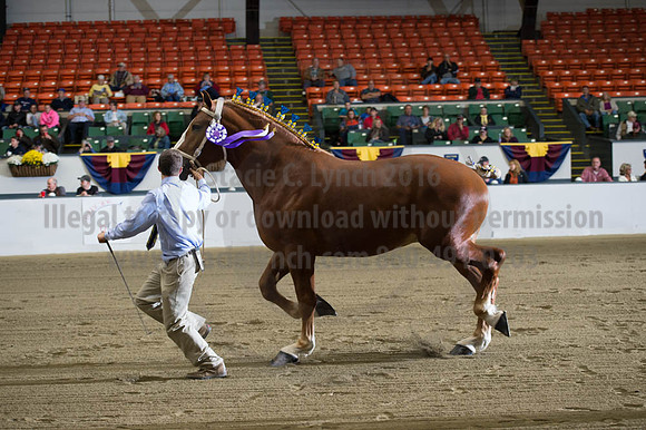 NABC8_10122016_SCL_4106