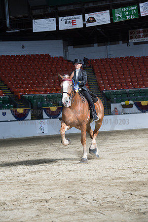 NABC8_10152016_SCL_0648
