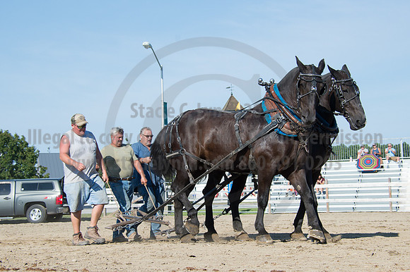 2016DCF_08242016_SCL_9474