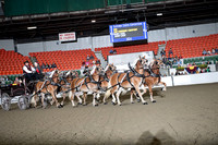 BigE_09292024_SCL2422