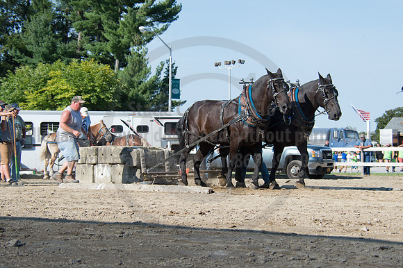 2016DCF_08242016_SCL_9462