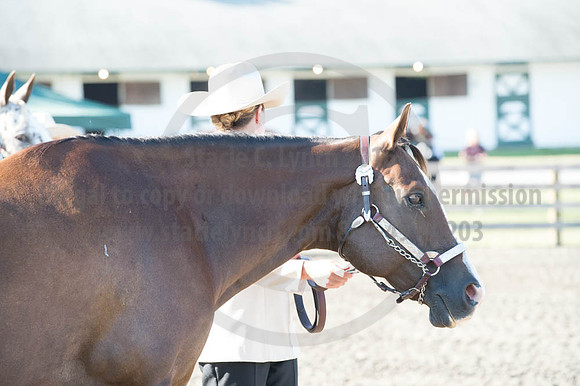2016DCF_08272016_SCL_0964