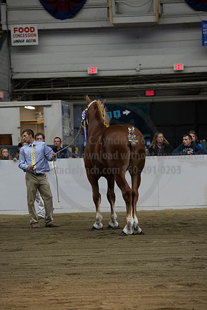 NABC8_10122016_SCL_4119