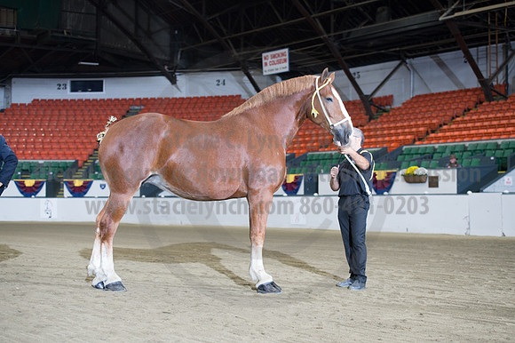 NABC8_10132016_SCL_5156