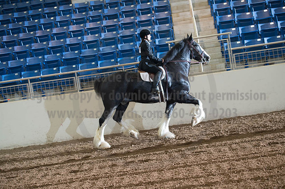 2016 _KILE_10082016_SCL9335
