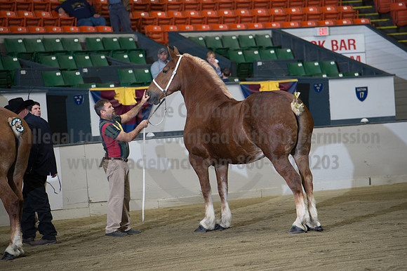 NABC8_10132016_SCL_5102