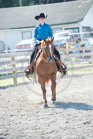 2016DCF_08272016_SCL_1105