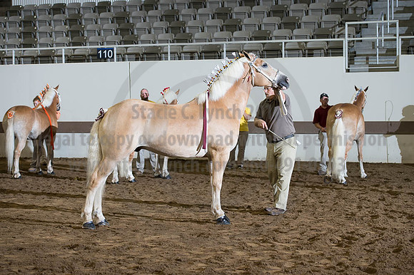 ISF_08192016_SCL_4742