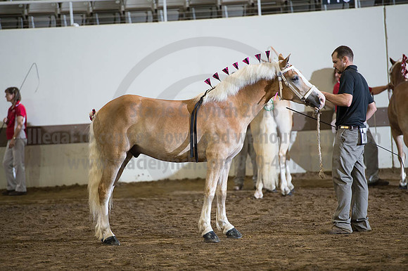 ISF_08192016_SCL_4920