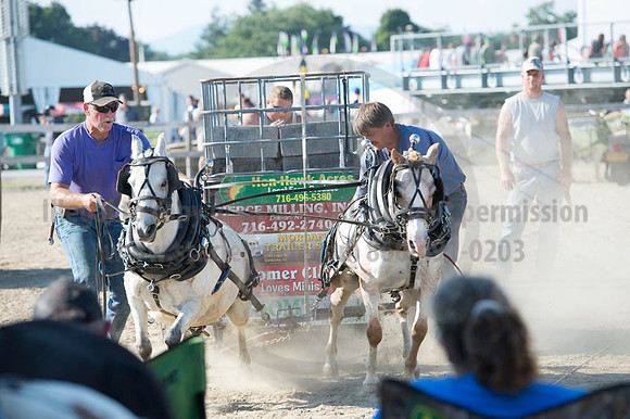 2016DCF_08272016_SCL_1473