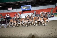 BigE_09292024_SCL2423
