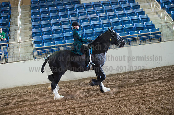 2016 _KILE_10082016_SCL9412