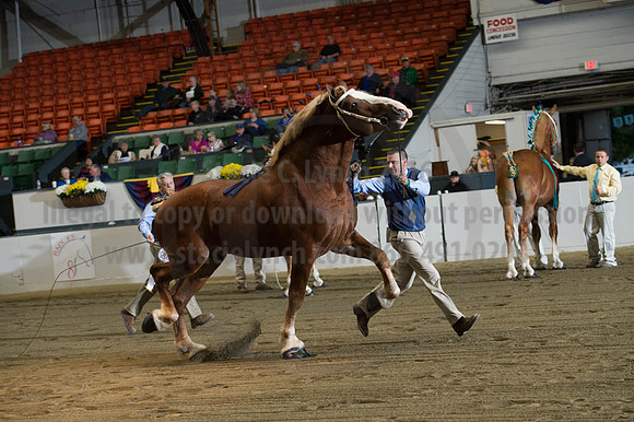 NABC8_10122016_SCL_4102