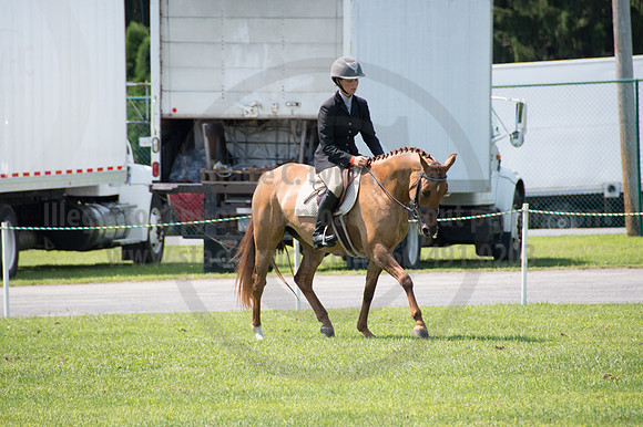 2016DCF_08242016_SCL_8973