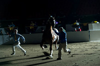 NABC8_10122016_SCL_4080
