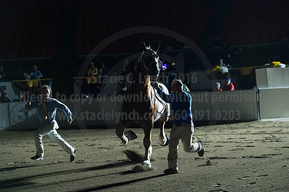 NABC8_10122016_SCL_4080