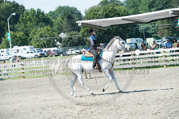 2016DCF_08272016_SCL_1128