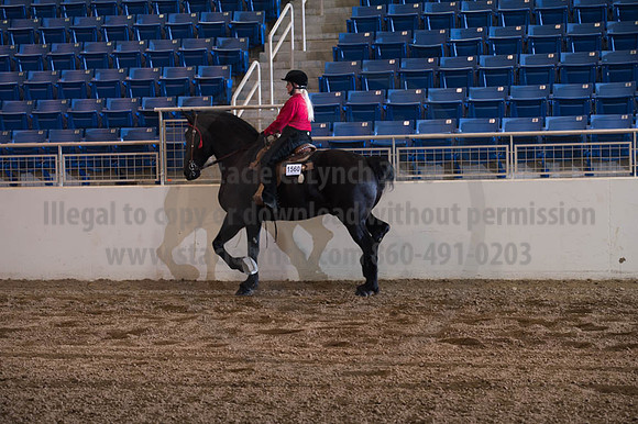 2016 _KILE_10082016_SCL9444