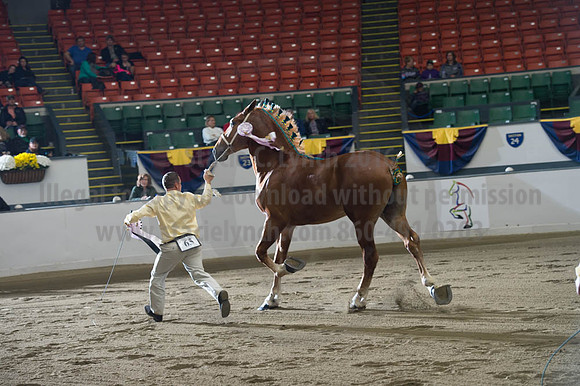 NABC8_10122016_SCL_4163