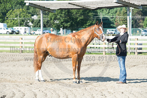2016DCF_08272016_SCL_0987