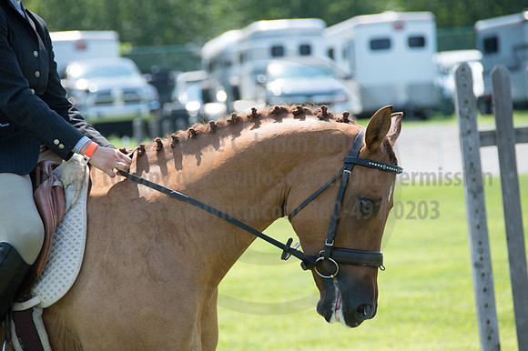 2016DCF_08242016_SCL_8959