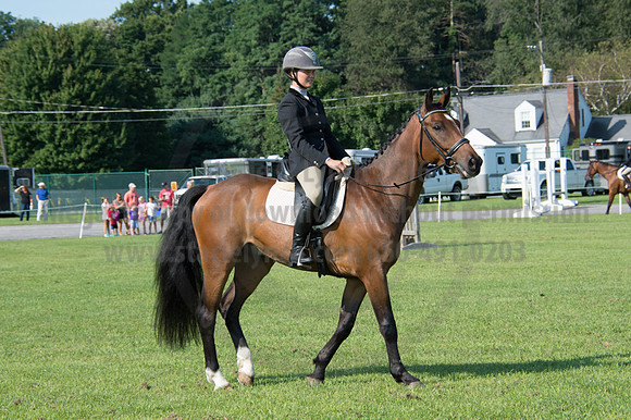 2016DCF_08242016_SCL_8550