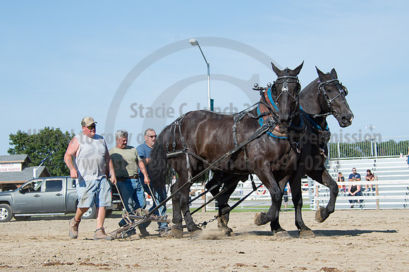 2016DCF_08242016_SCL_9472